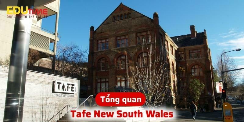 Hệ thống TAFE là gì? Tìm hiểu về đào tạo nghề công lập tại Úc 3 Du học