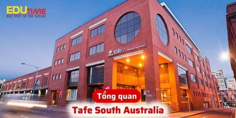 Hệ thống TAFE là gì? Tìm hiểu về đào tạo nghề công lập tại Úc 4 Du học