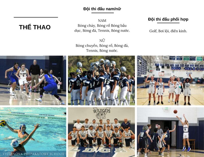 Tổng Quan Về Villanova College: Lý Do, Chương Trình Học, Và Cơ Hội Tương Lai 6 Du học