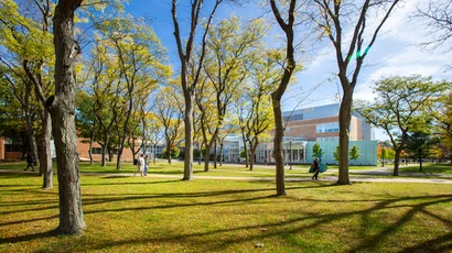 Có Nên Đi Làm Thêm Khi Du Học Mỹ? Lợi và Hại Cần Biết 2 Hình minh họa