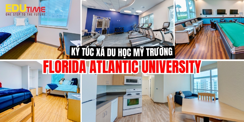 Ký Túc Xá Đại Học Mỹ: Môi Trường Sống, Chi Phí và Tiện Ích Cho Sinh Viên Quốc Tế 2 ký túc xá đại học mỹ