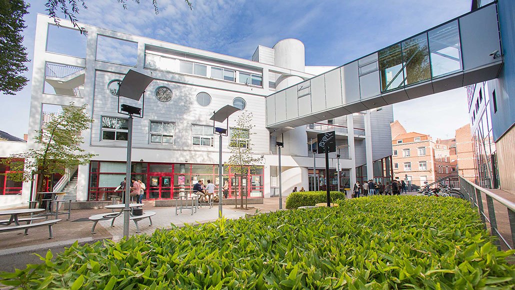 Tổng quan về IÉSEG School of Management: Lý do, chương trình và cơ hội nghề nghiệp 6 Du học