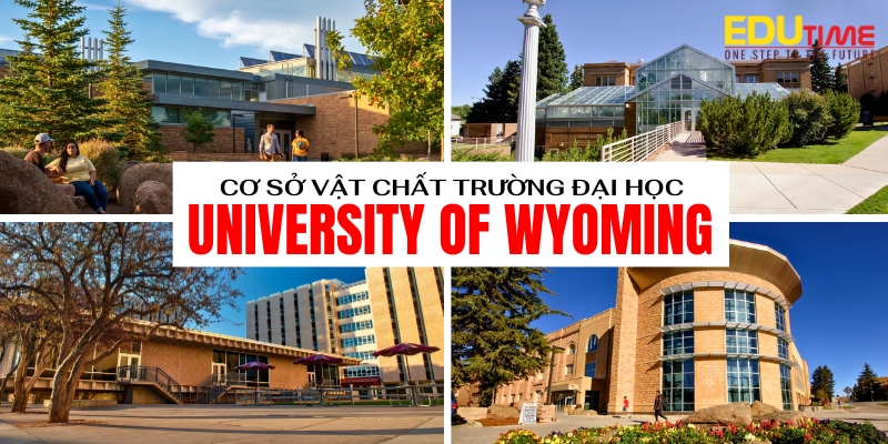 Top đại học công lập nổi tiếng tại Mỹ: Lựa chọn trường phù hợp và chi phí hợp lý 6 đại học công lập nổi tiếng tại Mỹ