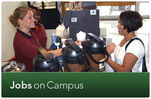 Việc làm thêm trong campus: Cơ hội kiếm thu nhập và tích lũy kinh nghiệm quý giá 98 V