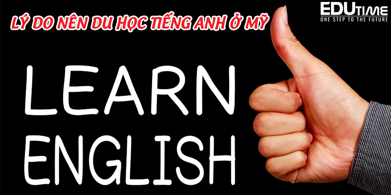 Khóa Học Tiếng Anh Ngắn Hạn Cho Người Đi Làm Tại Úc: Lợi Ích, Học Phí, Visa và Văn Hóa 2 Du học