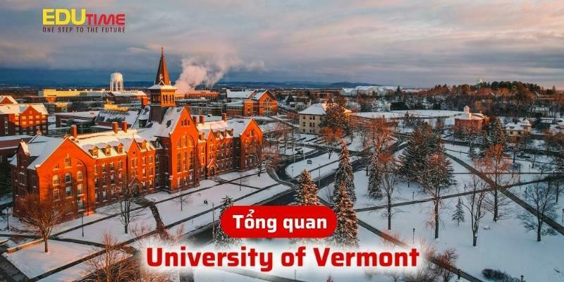 Đánh giá chi tiết về community college Mỹ: Trải nghiệm 2 năm học tập 4 review community college mỹ