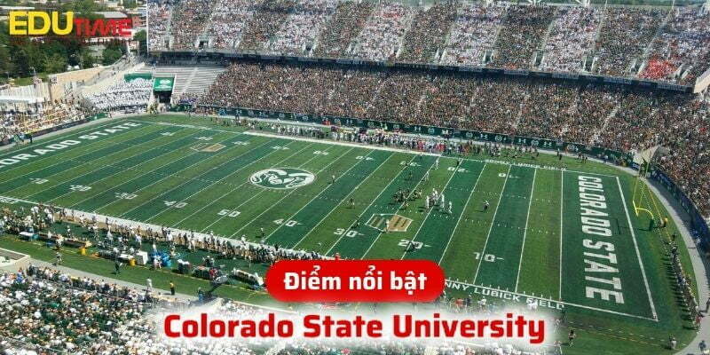 Du học Mỹ bang Colorado: Hướng dẫn đầy đủ về Denver, ngành du lịch và chi phí sinh hoạt 5 du học mỹ bang colorado