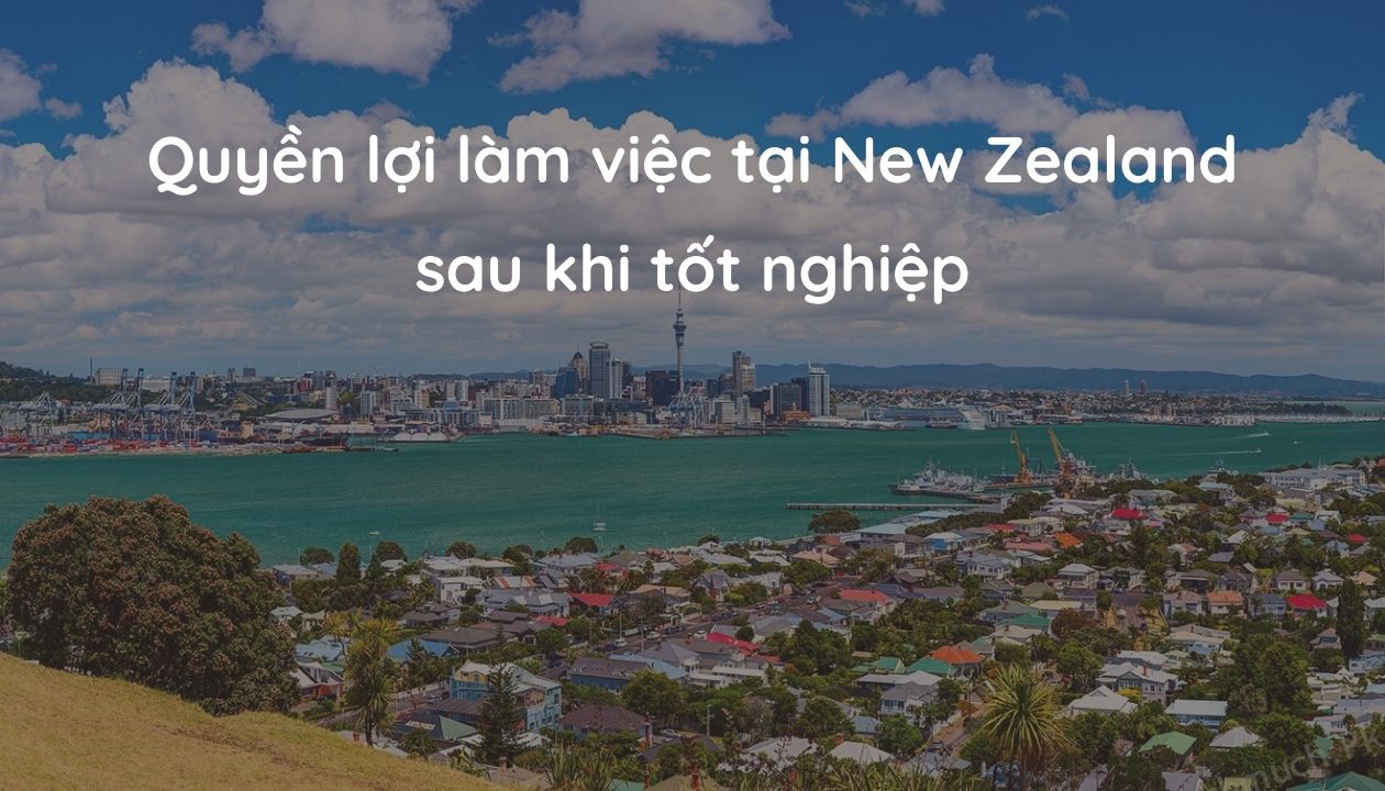 thủ tục xin ở lại new zealand sau tốt nghiệp