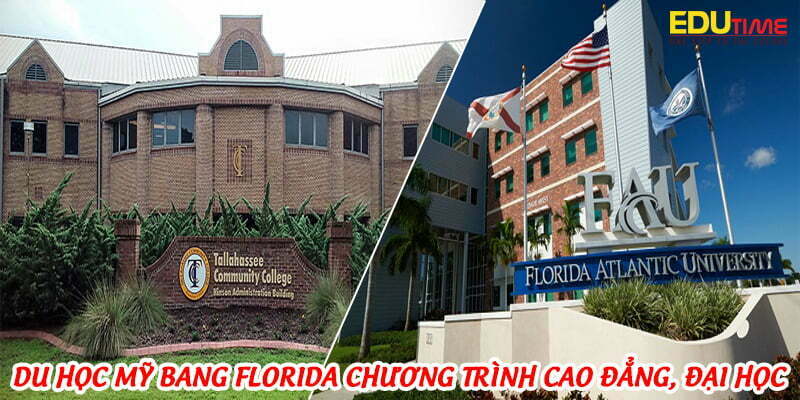 Du học Mỹ bang Florida: Học phí hợp lý và môi trường học tập lý tưởng 2 du học mỹ bang florida