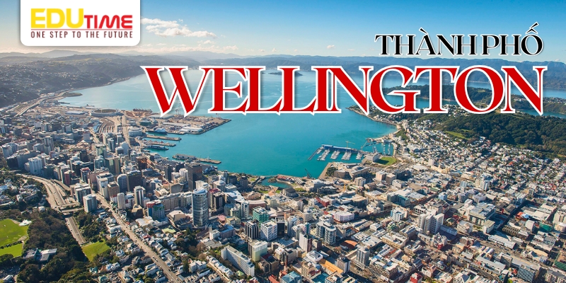 Visa post-study work New Zealand là gì? Tìm hiểu quyền lợi và điều kiện 4 visa post-study work new zealand là gì