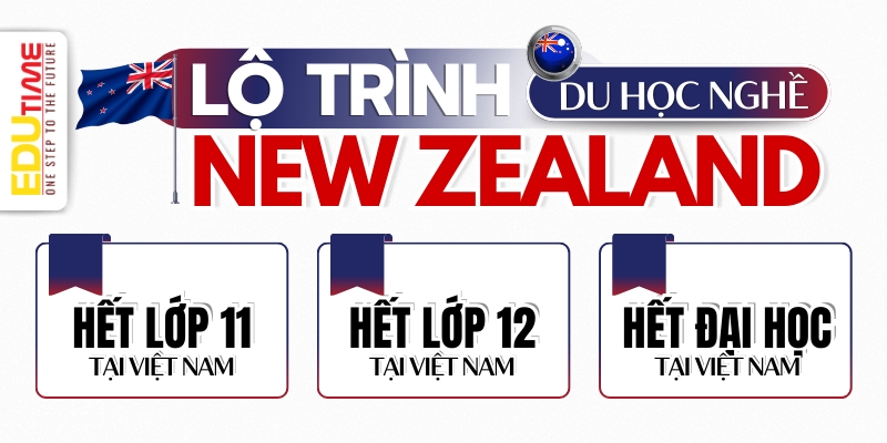 Ngành Dễ Định Cư Tại New Zealand: Hướng Dẫn Chọn Ngành Học Ưu Tiên 5 ngành dễ định cư tại new zealand