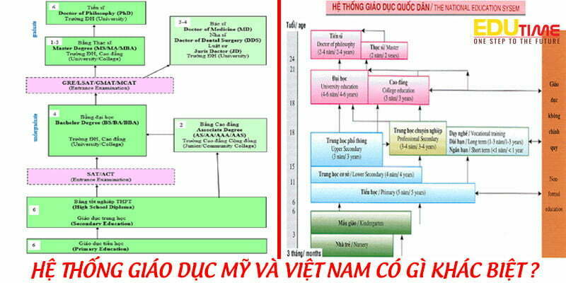 Hệ thống giáo dục Mỹ như thế nào: Khám phá cấu trúc và lộ trình học tập 2 hệ thống giáo dục mỹ như thế nào