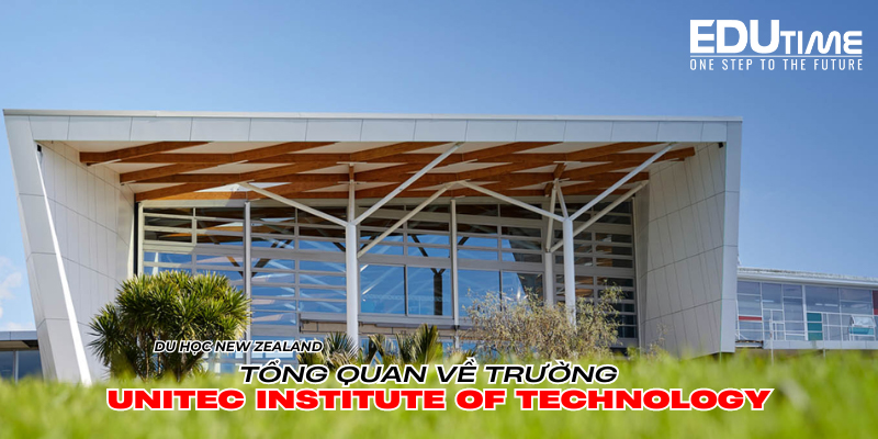 trường công hay trường tư tại new zealand