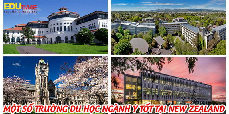 trường new zealand đào tạo ngành y tốt nhất
