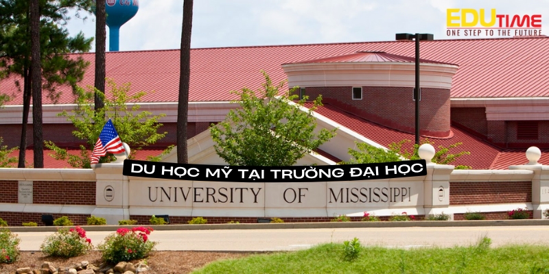 Khám Phá Hệ Thống Liberal Arts College Mỹ và Lợi Ích Đa Ngành 5 liberal arts college mỹ