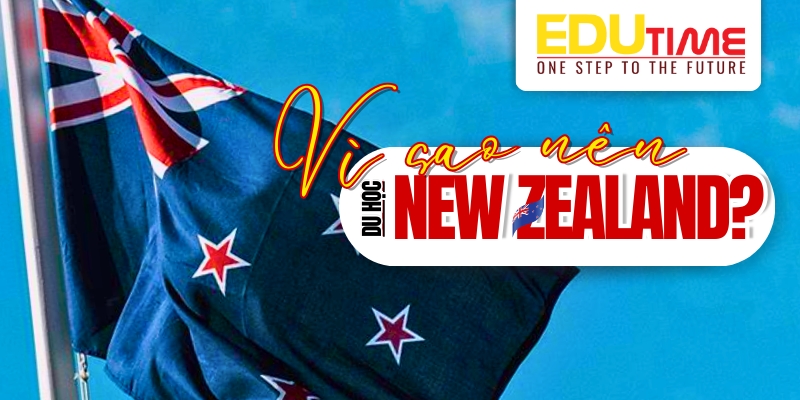 ngành dễ xin việc ở new zealand sau tốt nghiệp