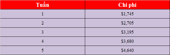 Chương trình giao lưu văn hóa Mỹ: Visa J1 và trải nghiệm cùng host family 6 chương trình giao lưu văn hóa mỹ