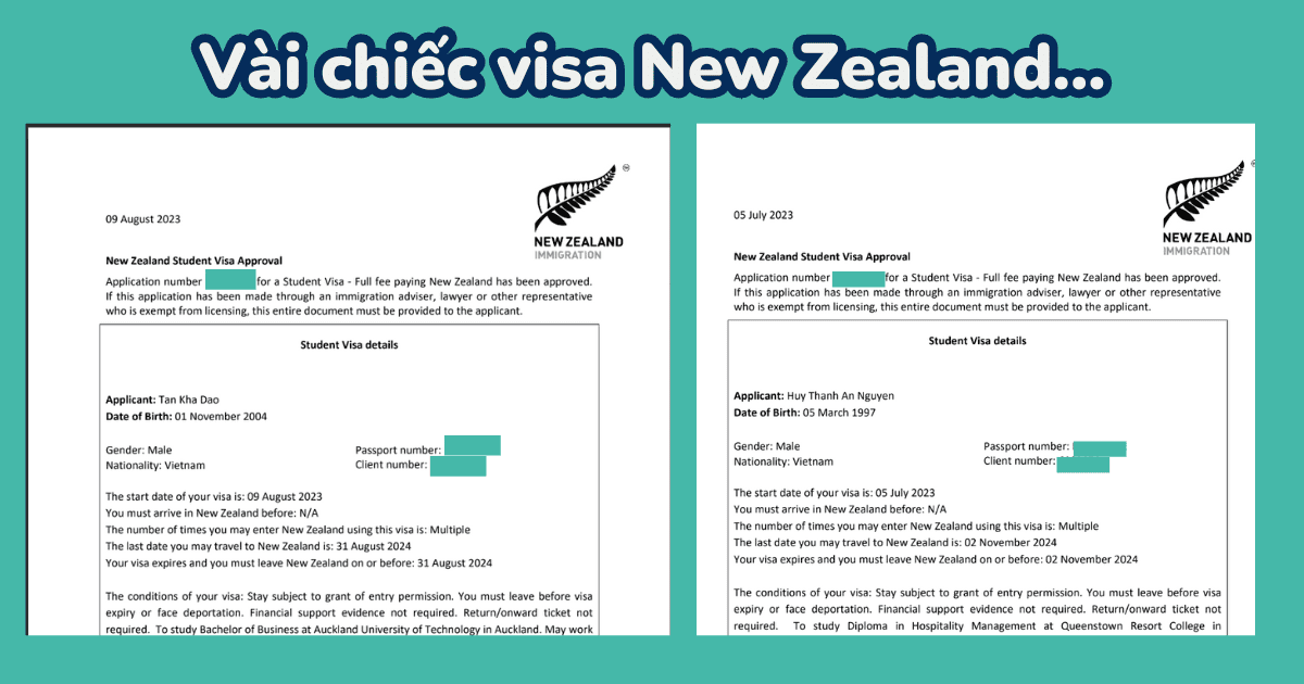 Visa Giám Hộ Học Sinh New Zealand: Hướng Dẫn Chi Tiết và Thủ Tục 6 visa giám hộ học sinh new zealand (guardian visa)