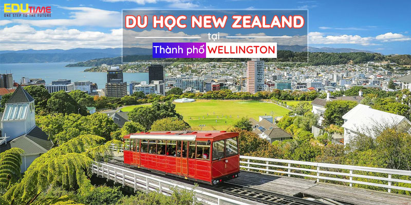 Du học tại Wellington: Khám phá môi trường học tập và văn hóa đa dạng ở thủ đô New Zealand 1 du học tại wellington