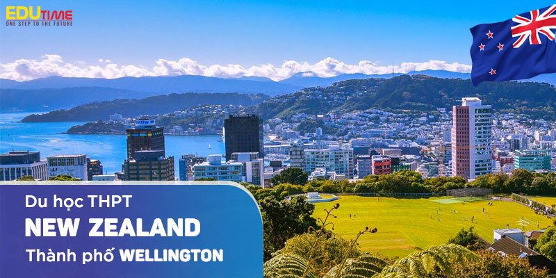 Du học tại Wellington: Khám phá môi trường học tập và văn hóa đa dạng ở thủ đô New Zealand 2 du học tại wellington