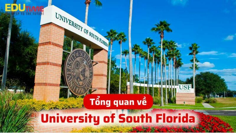 Du học Mỹ bang Florida: Học phí hợp lý và môi trường học tập lý tưởng 6 du học mỹ bang florida