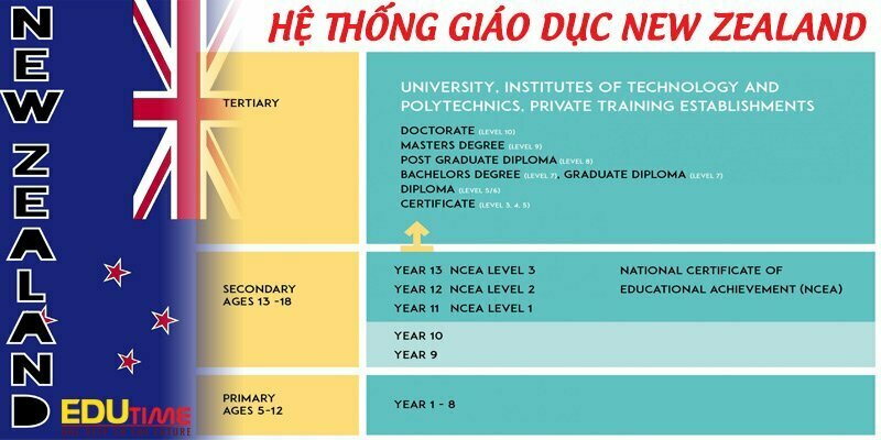 Bằng cấp New Zealand có giá trị thế nào? Giải mã uy tín và lợi ích 2 bằng cấp new zealand có giá trị thế nào