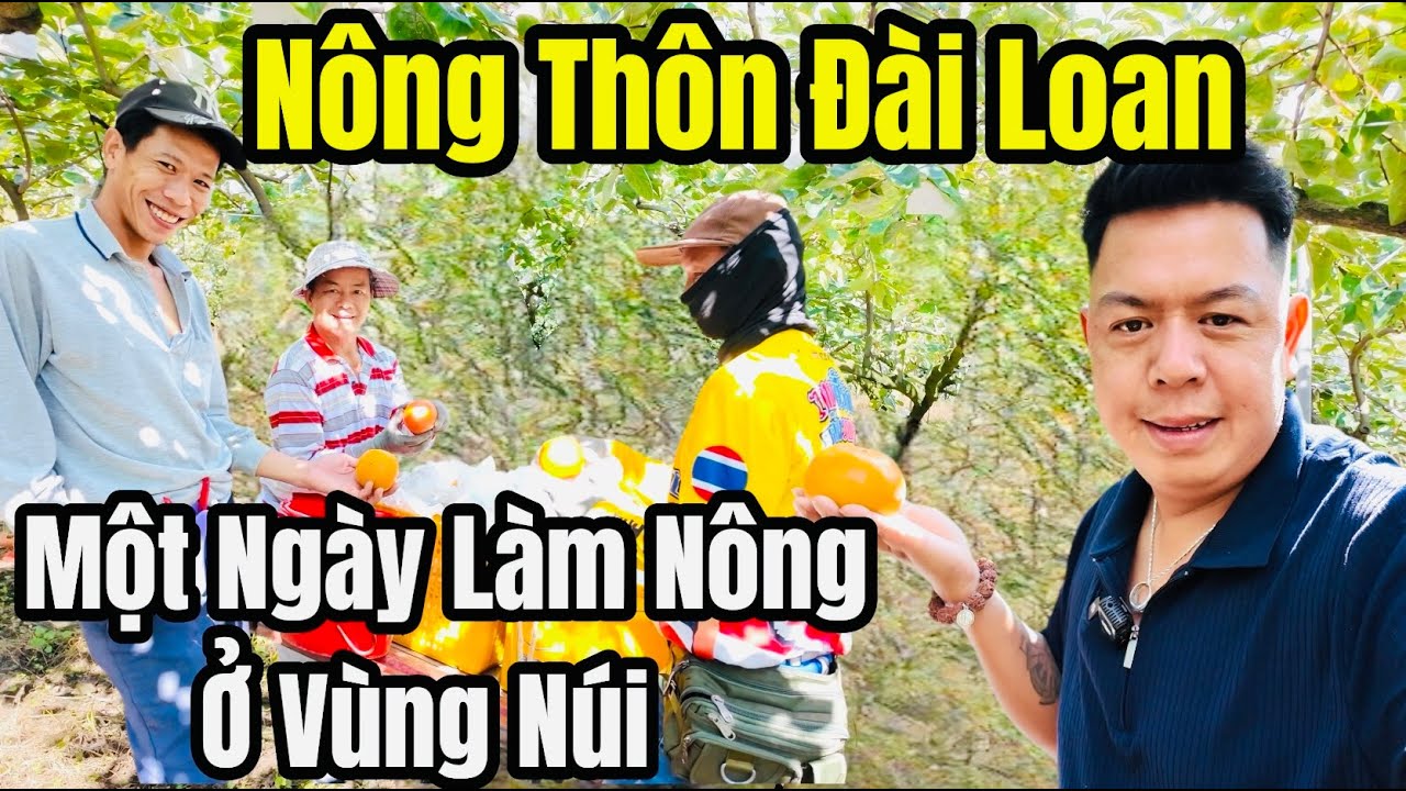 Người Mỹ Đón Tết Thế Nào: Khám Phá Phong Tục và Truyền Thống Đặc Sắc 4 người mỹ đón tết thế nào