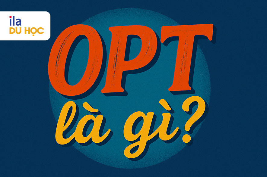 OPT là gì trong du học Mỹ? Khám phá lợi ích và quy trình đăng ký 4 OPT là gì trong du học Mỹ