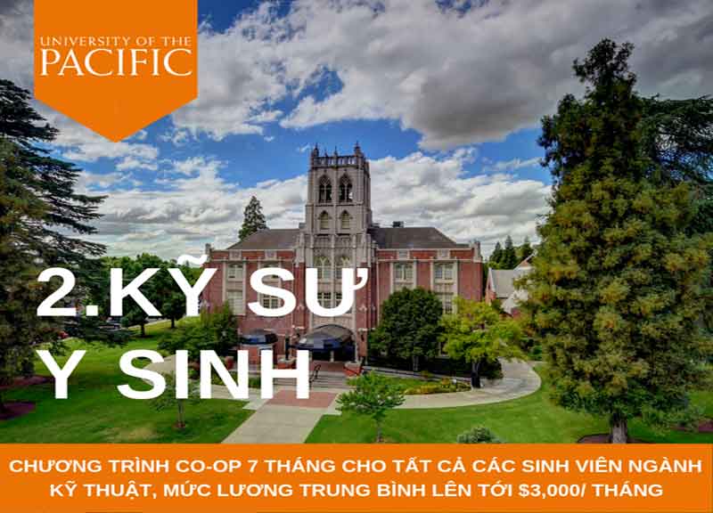 Du học Mỹ ngành kỹ thuật: Cơ hội và bí quyết thành công cho sinh viên STEM 22 h