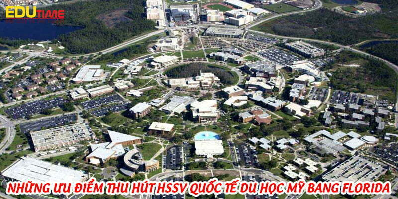 Du học Mỹ bang Florida: Học phí hợp lý và môi trường học tập lý tưởng 3 du học mỹ bang florida