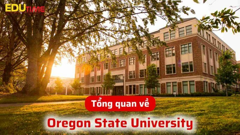 top 10 trường đại học tại mỹ