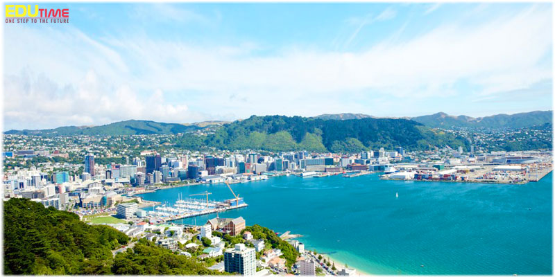 cuộc sống du học sinh tại wellington