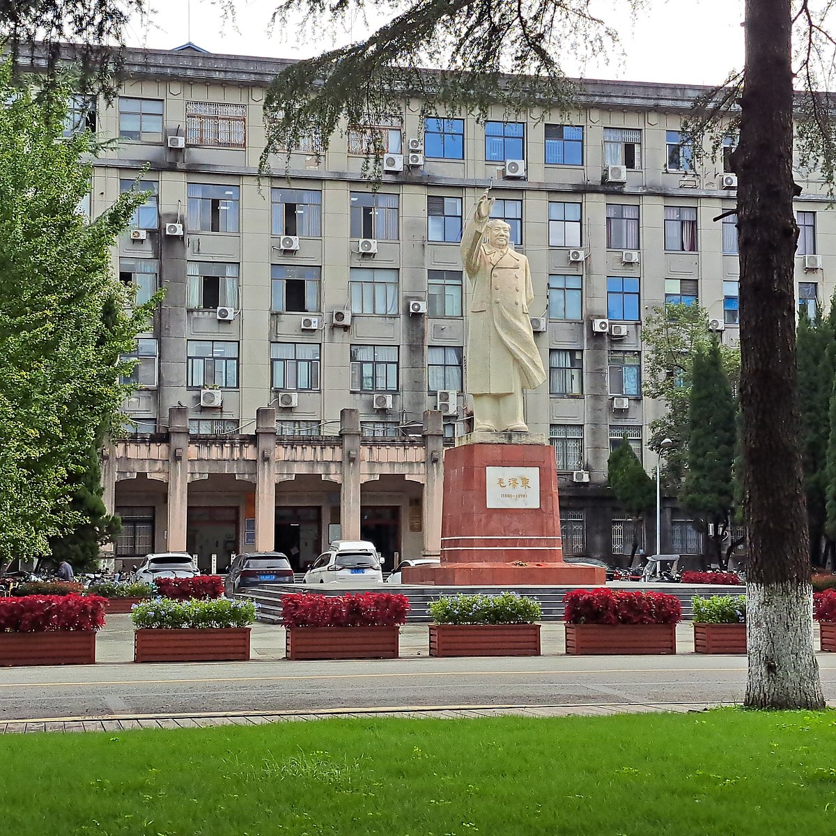 Review Sichuan University: Chất lượng giảng dạy và cơ hội nghề nghiệp 5 Review Sichuan University