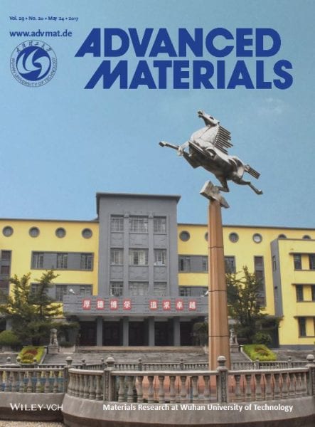 Review Wuhan University of Technology