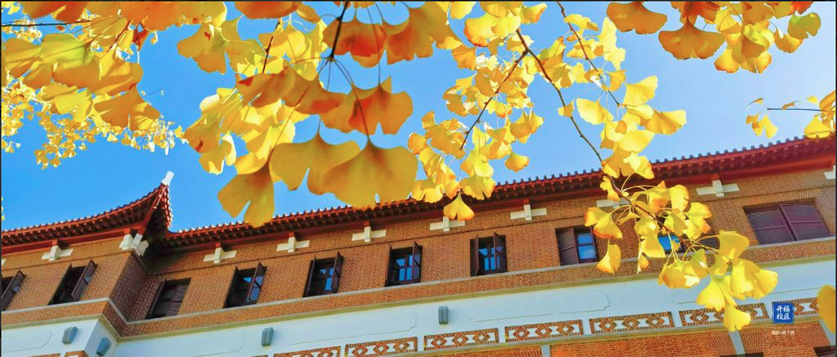 Review Hohai University
