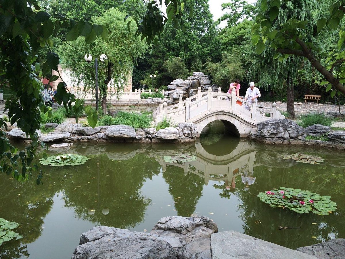 Review Beijing Language and Culture University