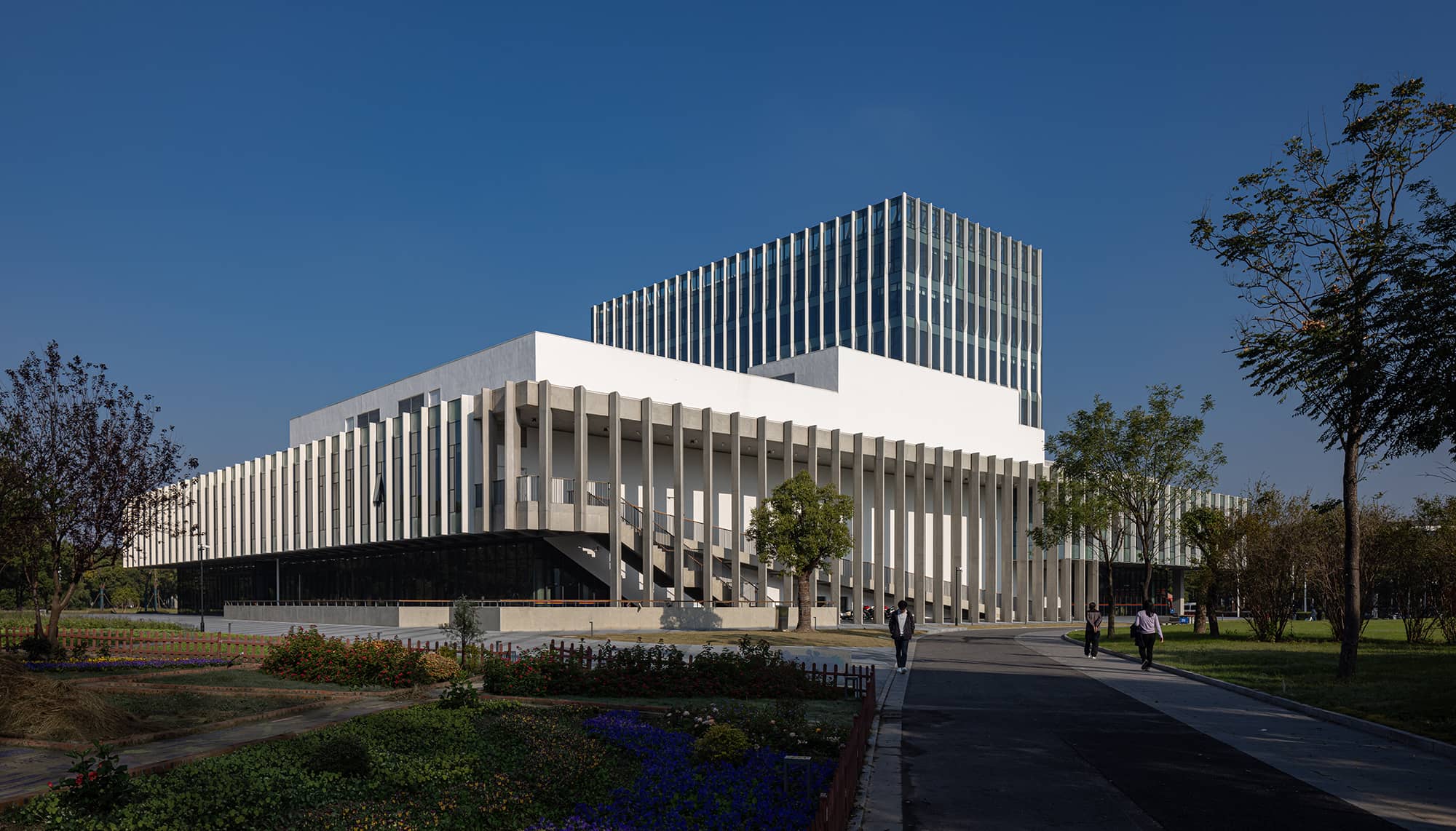 Review Tongji University