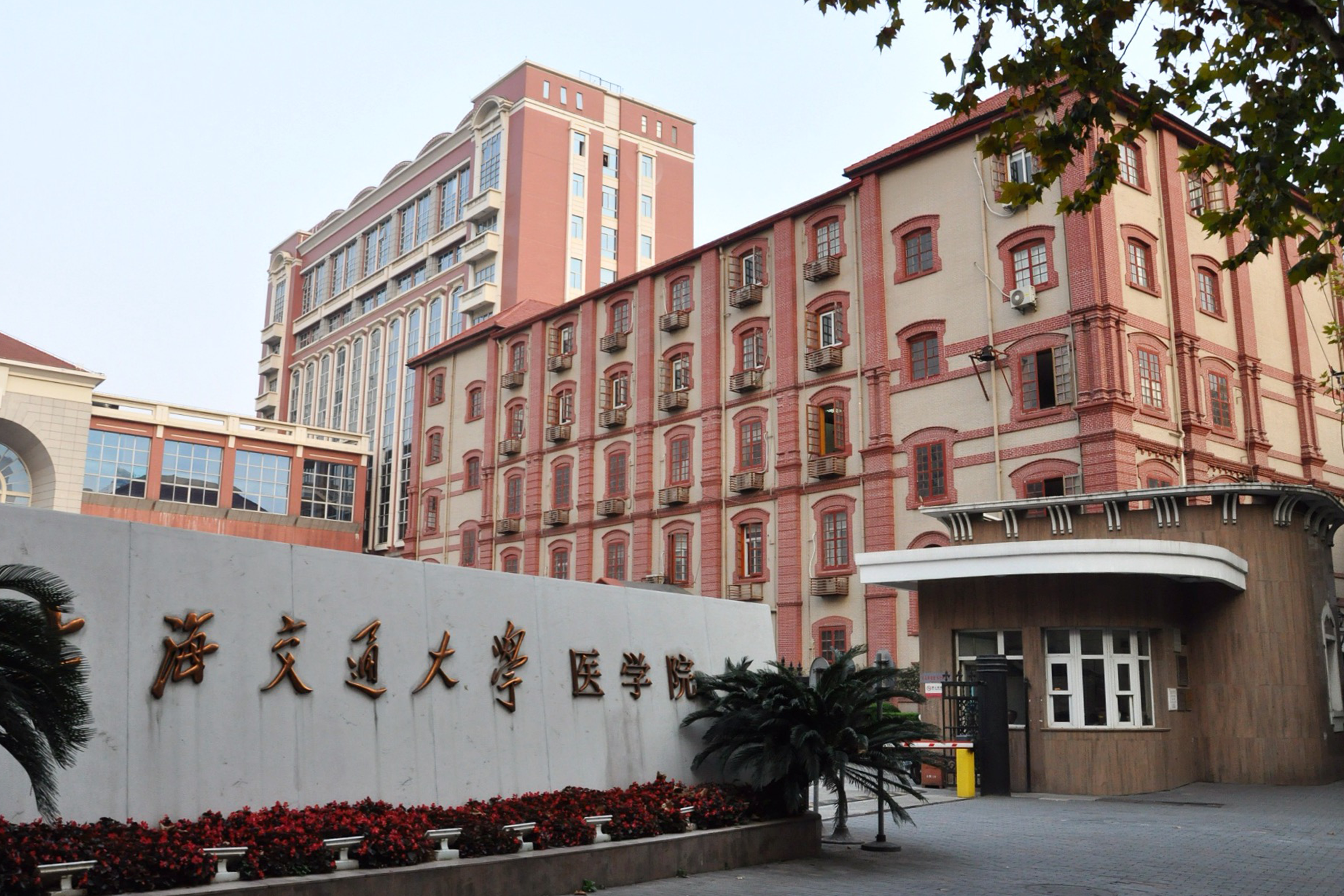 Đánh Giá Đại Học Thượng Hải: Giảng Viên, Cơ Sở Vật Chất và Cơ Hội Nghề Nghiệp 5 Review Shanghai University