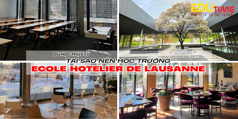 Du học Thụy Sĩ tại Ecole Hôtelière de Lausanne EHL: Chương trình, Học bổng và Cơ hội Nghề nghiệp 4 du học thụy sĩ ecole hôtelière de lausanne ehl
